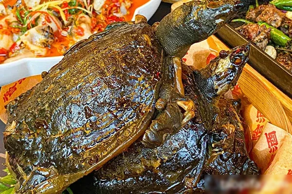 金沙酱甲鱼技术配方和视频教程-爆汁配方社