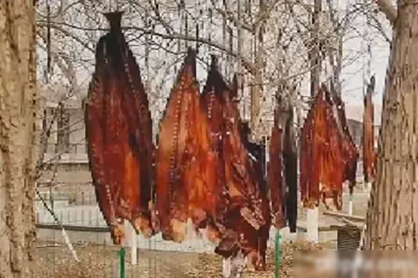图片[1]-酱香风干手撕鲅鱼视频教程-爆汁配方社