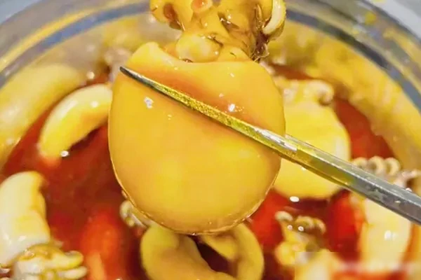 辣卤海鲜汁(纯商用配方)视频教程-爆汁配方社