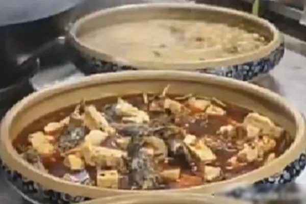 图片[1]-峰味天下招牌河鲜料-爆汁配方社
