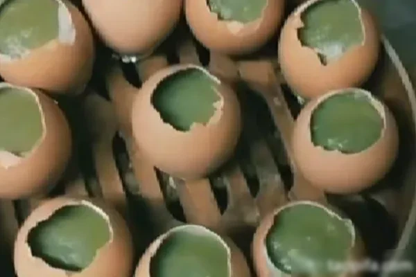 实蛋材料制作(商用版) 视频教程-爆汁配方社